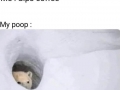 Happens everytime