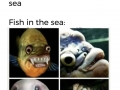 Plenty of fish in the sea