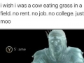 And then become a burger