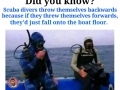 Scuba divers