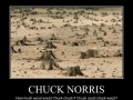 Chuck Norris