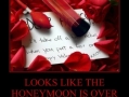 Looks like honeymoon is over